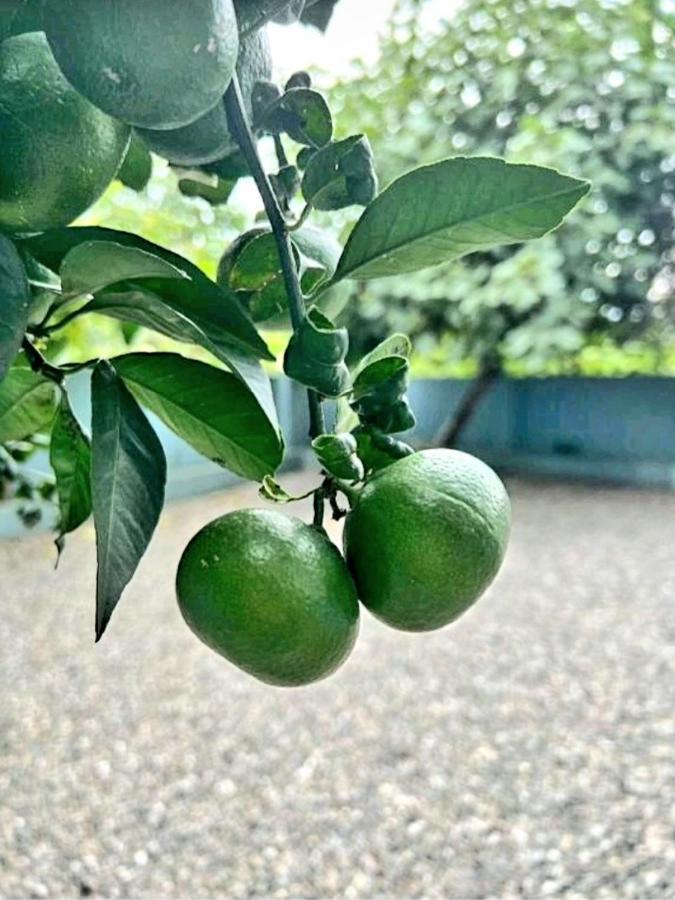 Rio Gonio Ξενοδοχείο Εξωτερικό φωτογραφία